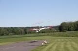 IMG 8801